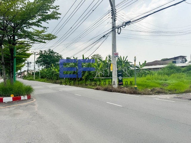 ขายที่ดิน 1ไร่239ตร.ว ติดถนนเอกอุดร เมืองเอกโครงการ1 รังสิต